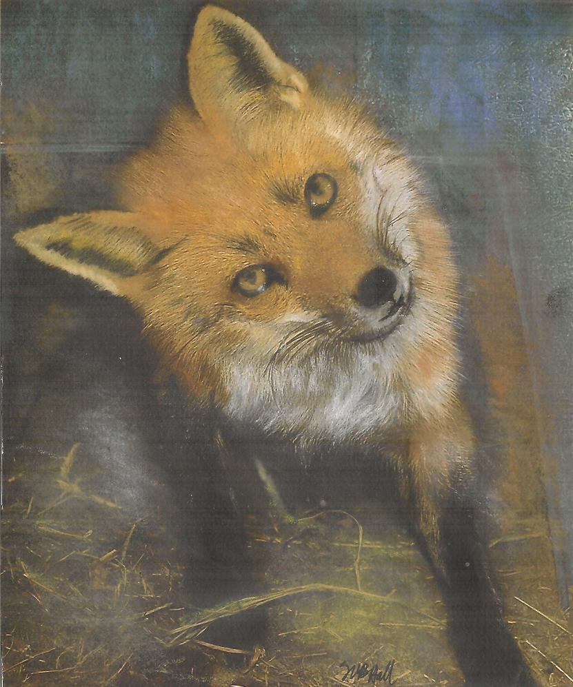 Red Fox, "Mama", pastel by Wendy Hall