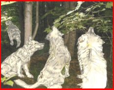 Treed by rascals