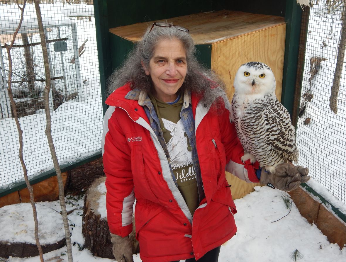 Wendy with snowy owl